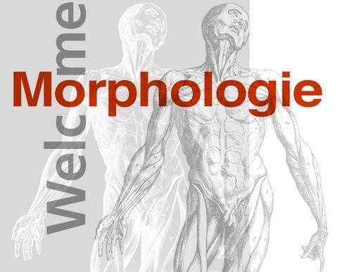 What is morphology? This is the science of the Word ...