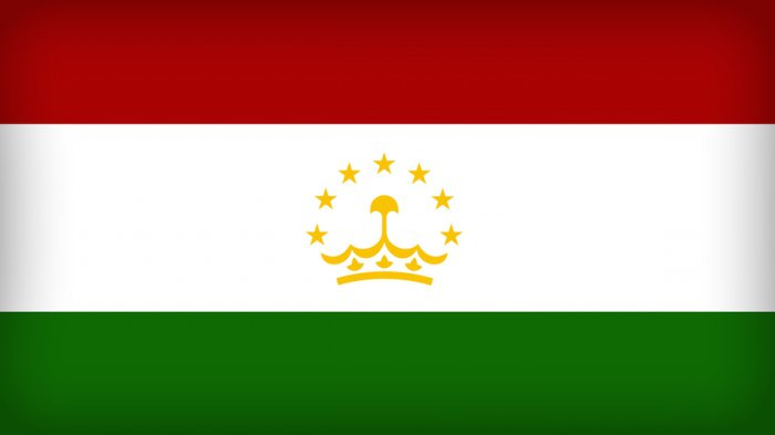 National flag of Hungary: description, history