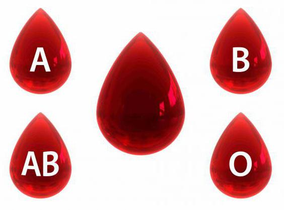 tasks for the blood group