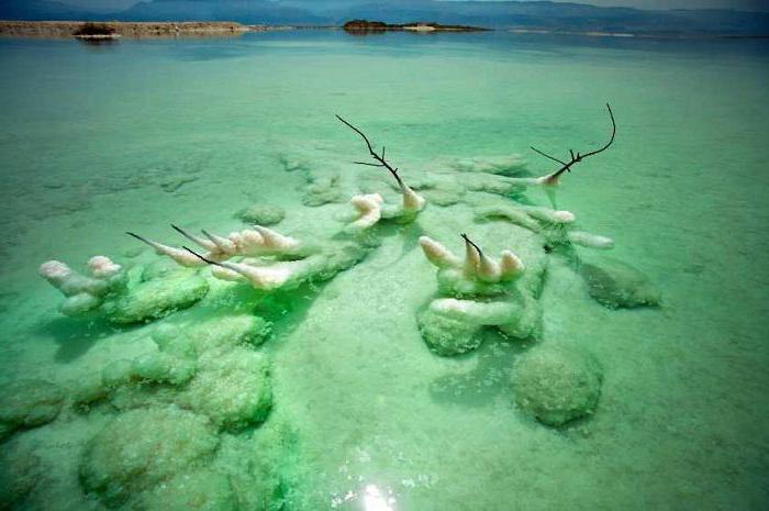 a brief description of the dead sea