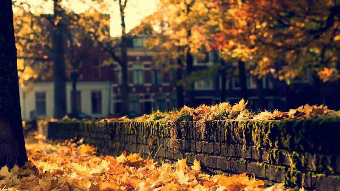 Mini-composition: 5 sentences about autumn