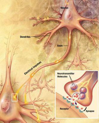 irritability and excitability