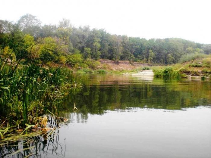 The Hoper River is a treasury of the nature of Russia