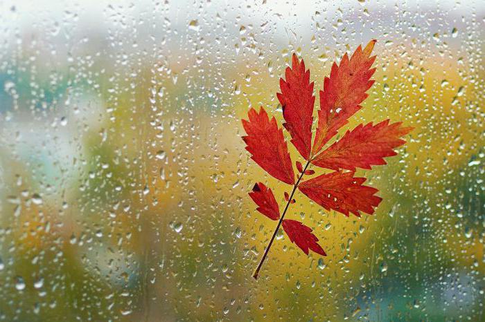 description of the picture autumn rains