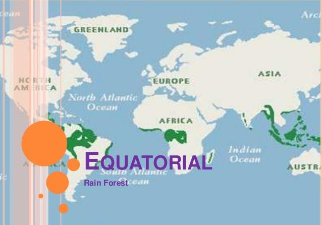 equatorial tropical belt 