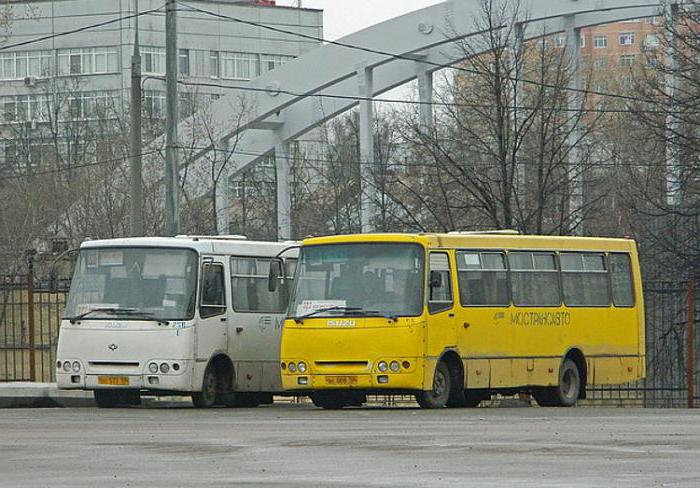 how many buses go to Moscow 