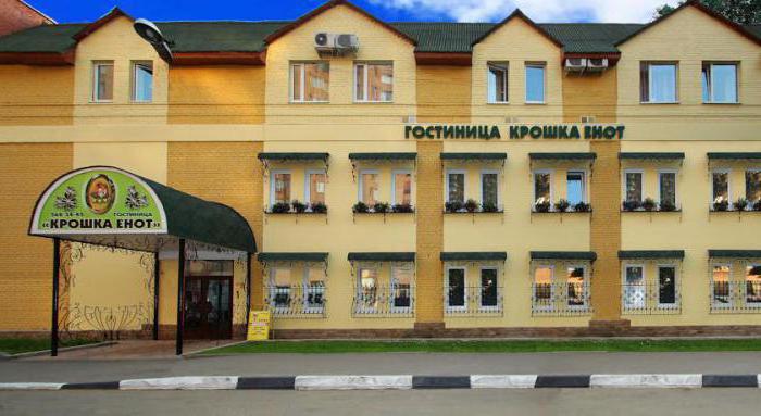 Hotels in Krasnogorsk 