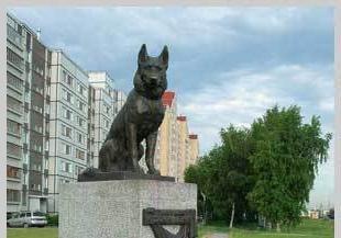 monuments to dogs