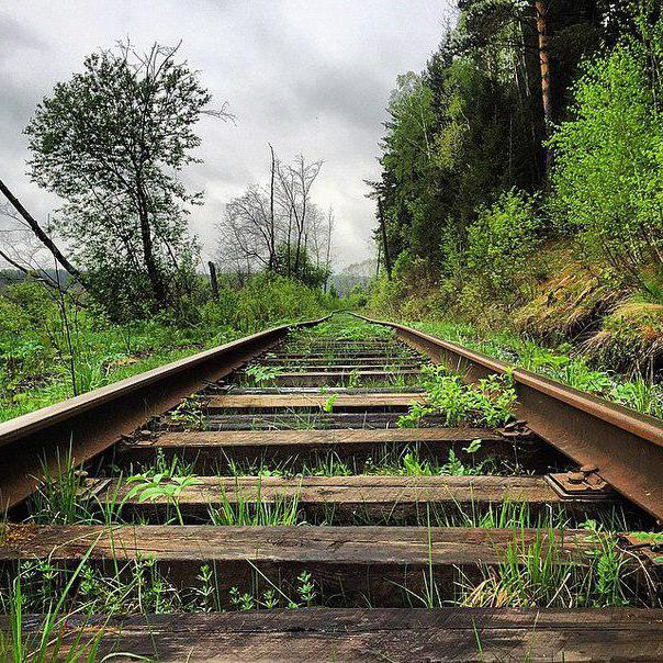 Cemetery of steam locomotives, Perm Territory. The old, useless railway technology