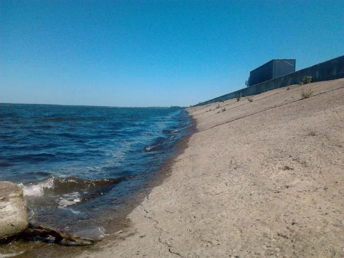 maternal reservoir Lipetsk region