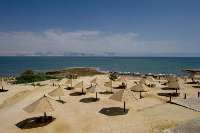 dead sea spa hotel 4 reviews