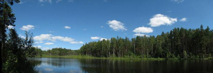 photo Crooked lake