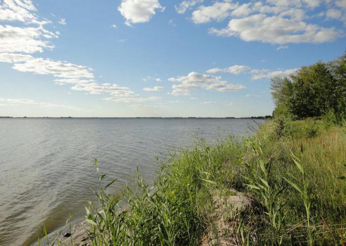 the sandy lake of Altai