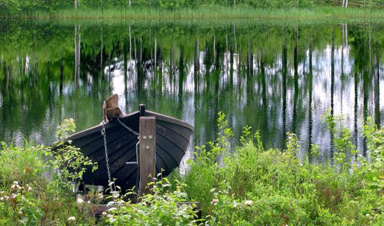 gladyshevskogo lake