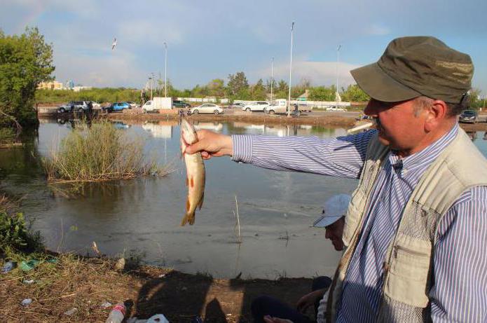 All-year-round fishing in Astana: where is the best place to fish?