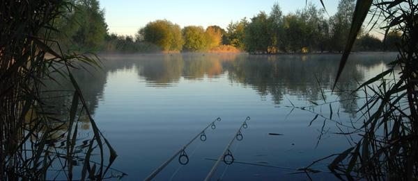 Catching of carp with a bottom tackle