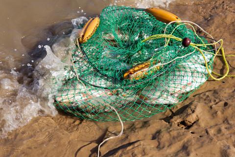 Groundbait for the crucian: we cook at home with our own hands