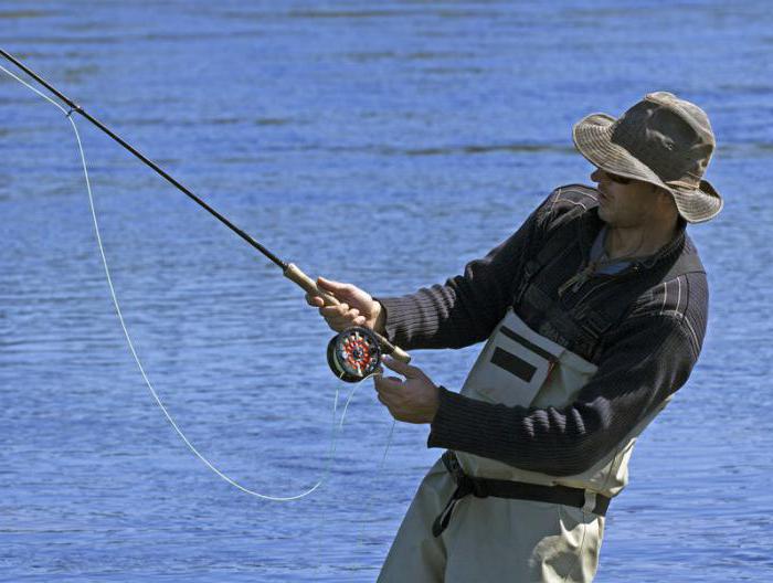 how to tie the leash to the main line on the spinning photo [