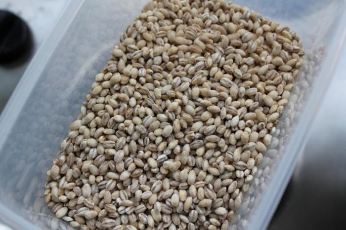 how to cook a pearl barley for fishing