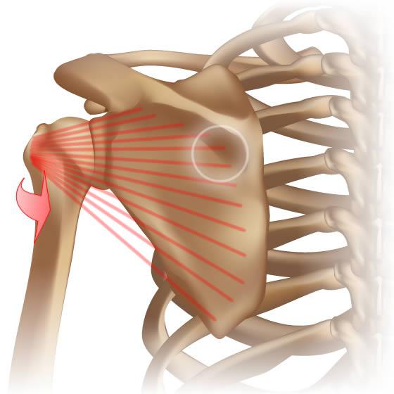 Heart Problems Symptoms