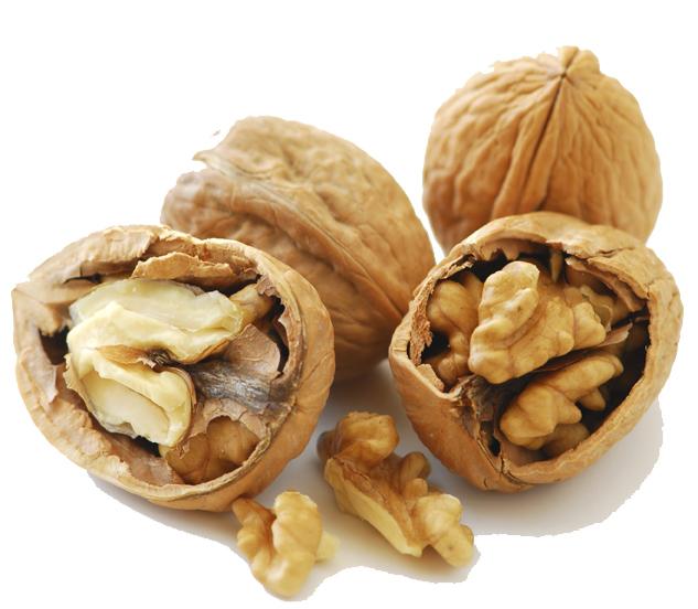 Than useful walnuts? Make a gift to your body