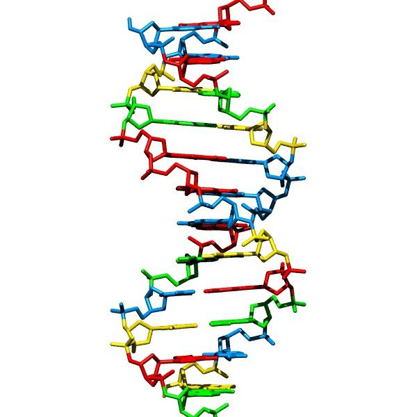 DNA synthesis is easy!