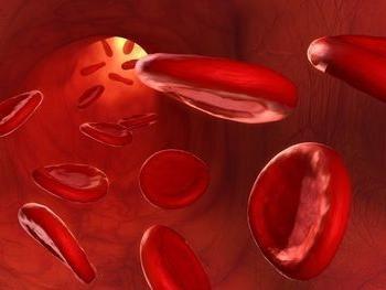 how to increase hemoglobin at home