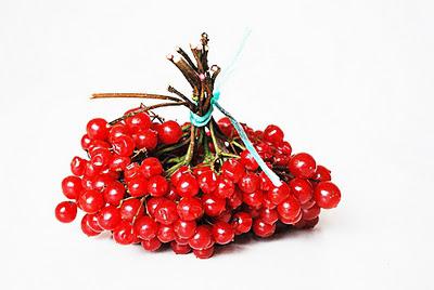 than useful berries of a viburnum