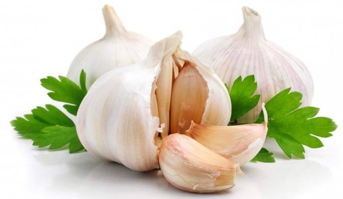 treatment of garlic reviews