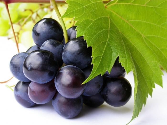 Can grapes be given to a nursing mother? We'll figure it out!