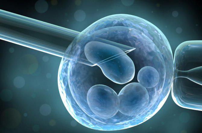 Retinal pigment treatment with stem cells