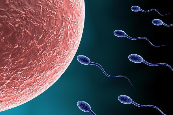 Increased sperm viscosity: causes and treatment. Normal sperm viscosity