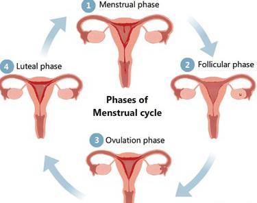 sensitive nipples pregnancy 