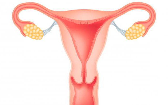 endometrium 10 mm what does it mean