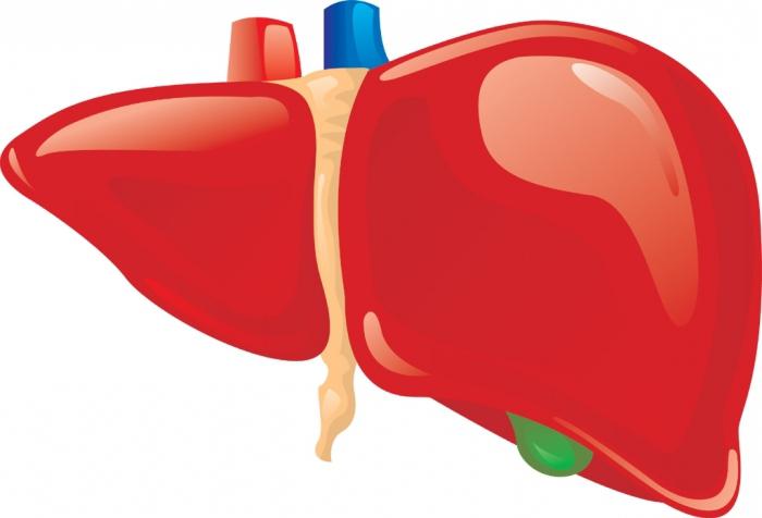 elevated bilirubin causes