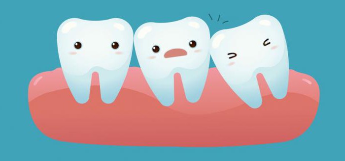 Why do you need wisdom teeth: features, structure